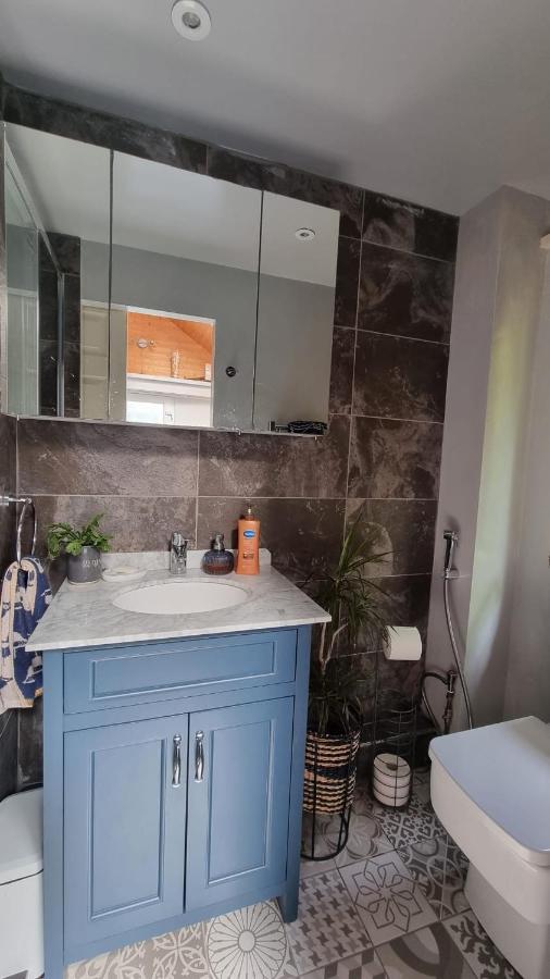Bed and Breakfast Glebe House, Private Entrance, Free Parking On Drive, Self Check In, Netflix Ashford  Esterno foto